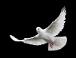 I must go but I will send you the Holy Spirit.