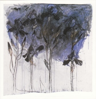 Black Irises by Barbara Walton