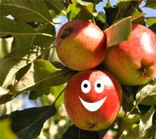 apple smile