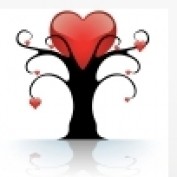 likeme-likeyou profile image