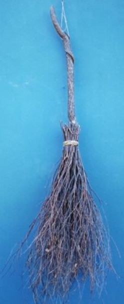 Witches' Broom Decoration