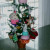 Everyone loves cupcakes... This cupcake tree, is very cute on my kitchen counter.