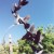 A flight of birds A flight of birds