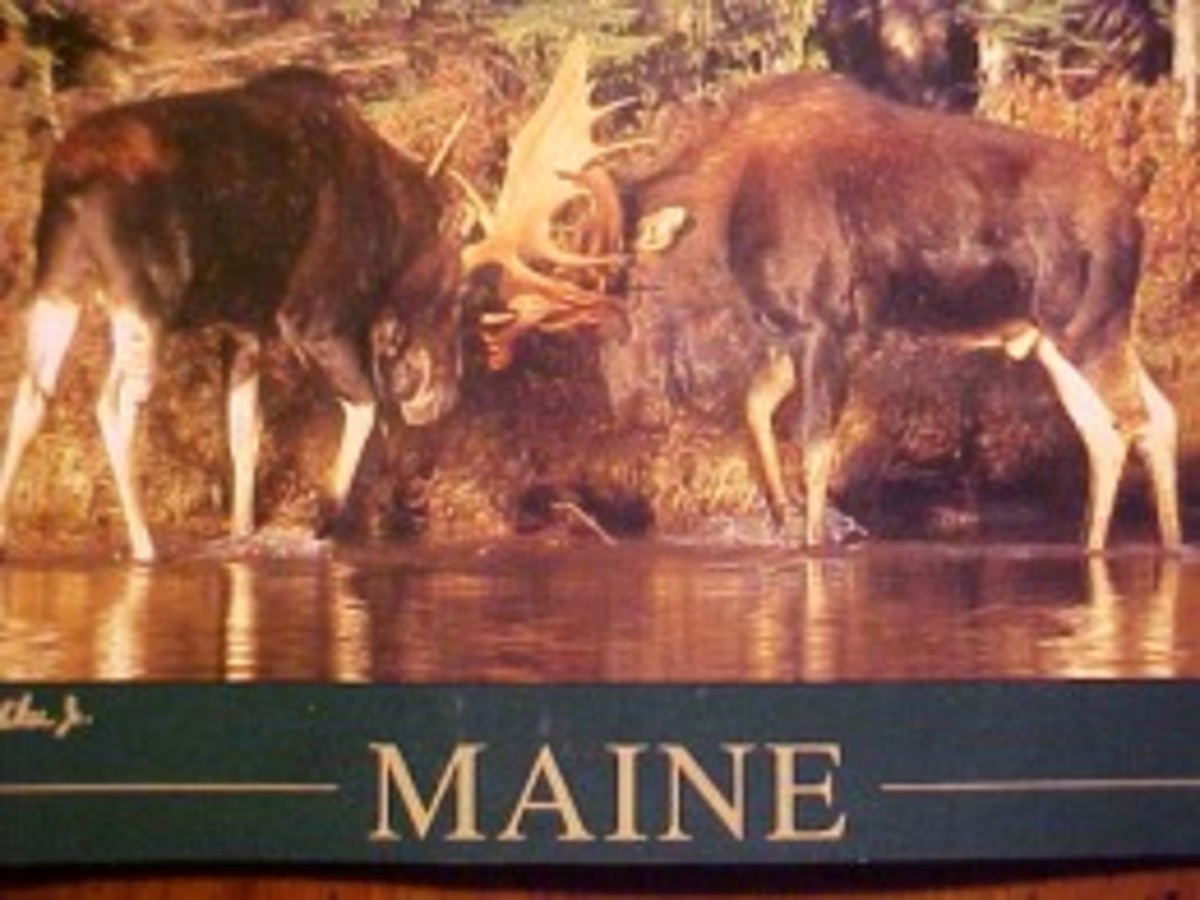 Appalachian Trail postcards