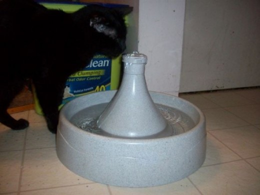 Drinkwell Cat Water Fountain