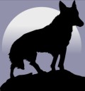 Werewolf: facts and fiction