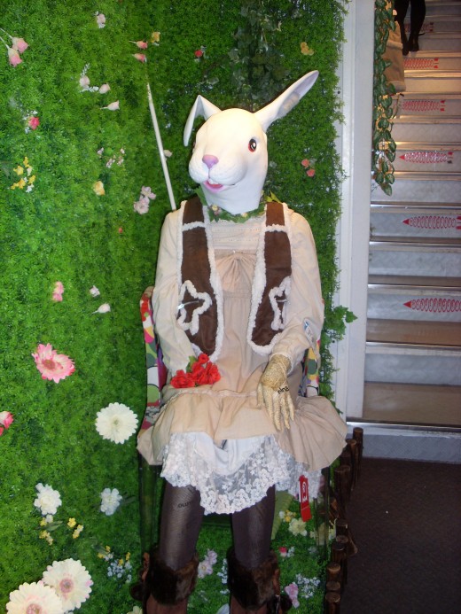 You you can dress like a cute bunny rabbit.