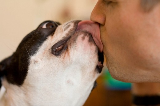 A big slobbery dog kiss.