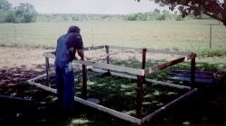 Building Our First Chicken Coop