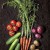 You could be moving these from your vegetable garden to your kitchen to your table. Photo credit: Microsoft You could be moving these from your vegetable garden to your kitchen to your table. Photo credit: Microsoft