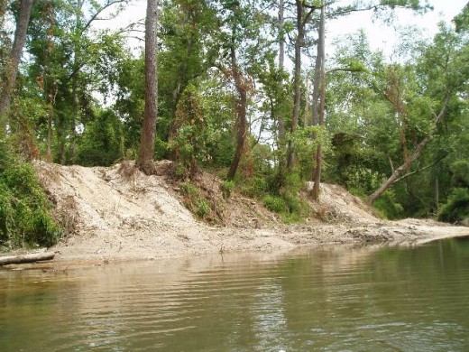 Damage to Riparian Area