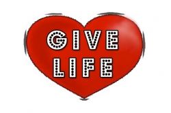 Organ Donation Facts