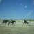 Horseback riding on Matagorda beach, Gulf of Mexico Horseback riding on Matagorda beach, Gulf of Mexico