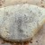Plymouth Rock Plymouth Rock