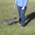 Exploring the Yard Exploring the Yard