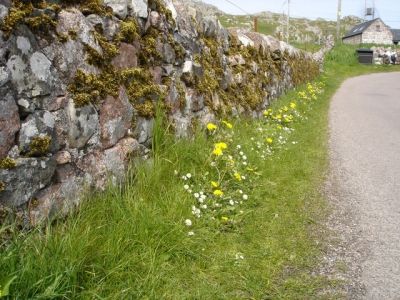 Walking to Iona Abby, Another 'Main Street'