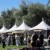 The San Benito Olive Festival The San Benito Olive Festival