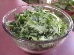 Chopped kale for our salad