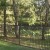 Through Fence view of house at Sunnybank Through Fence view of house at Sunnybank