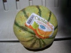 Grilled Fruit 2 - Melon