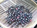 Grilled Fruit 10 - Blueberries (Yes!)