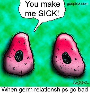 Even Bacteria Can't Stand Each Other Bacteria