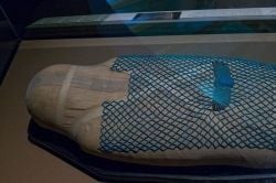 Ancient Keku - Egyptian Mummy covered With a Turquoise Net