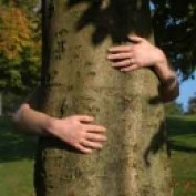 Tree2mydoor profile image
