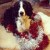 This is me at Christmas helping to decorate the tree! This is me at Christmas helping to decorate the tree!