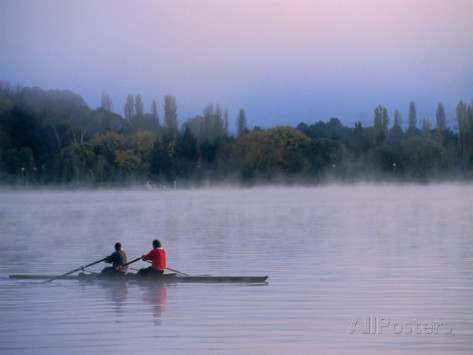 Buy from Allposters