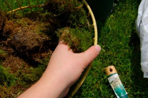 You can also use floral wire to secure it to the basket.  Some people like to soak their moss overnight!