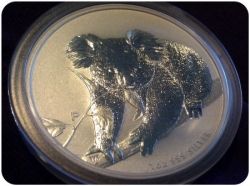 2010 Silver Koala