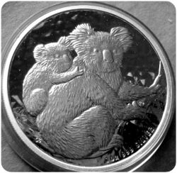 2008 Silver Koala