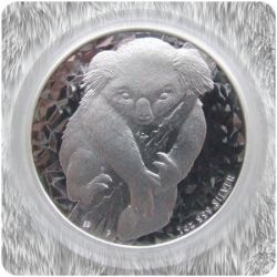 2007 Silver Koala
