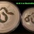 10 &amp; 5 Ounce 2013 Australian Lunar Snake Silver Coins