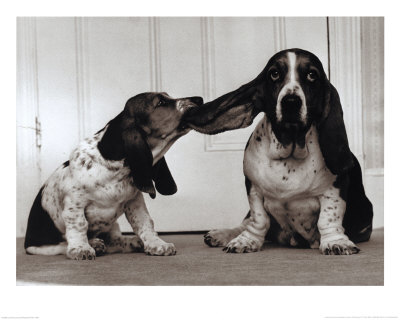 I still can't hear you...