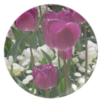 Get this tulip design on a plate