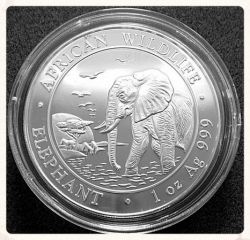 2010 Somalia Silver Elephant Coin
