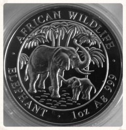 2007 Somalia Silver Elephant Coin