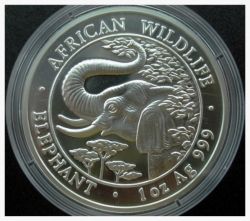 2005 Somalia Silver Elephant Coin