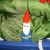 Gnome #? I make so many I don't know Gnome #? I make so many I don't know