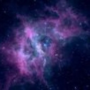 starsquid profile image