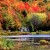 Colour and light combine to make this an unmistakable New England scene.
The trees are complimented by the foreground water. Colour and light combine to make this an unmistakable New England scene.The trees are complimented by the foreground water.