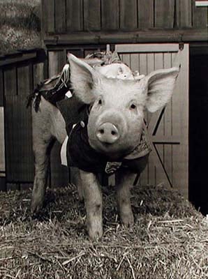 Arnold Ziffle - The know-it-all pig.