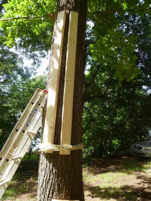 How to Make a Climbing Pegboard for Only 29.05 HubPages