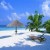 Cancun
(Photo courtesy of http://www.globeimages.net/) Cancun(Photo courtesy of http://www.globeimages.net/)