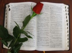 bible verses for a