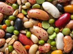 quinoa beans vegetarian protein sources