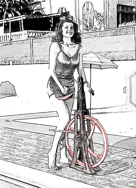 [Wikipedia]-Stationary bicycle trainer.jpg