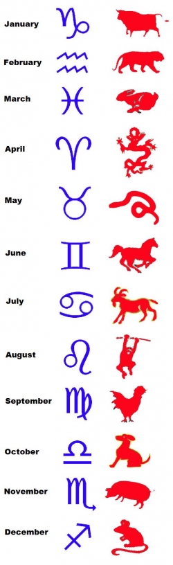 Western and Chinese Zodiac Signs